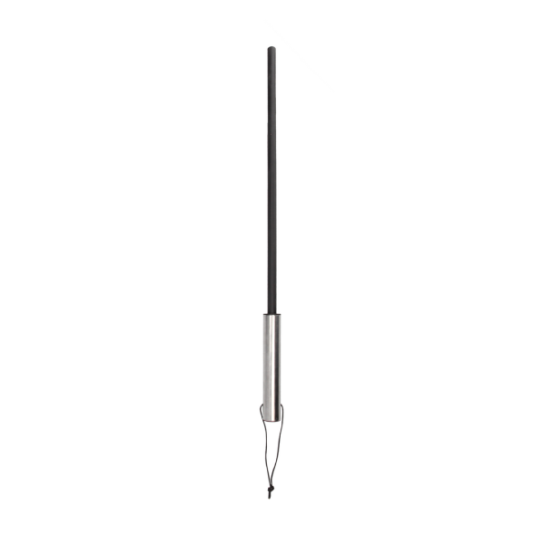 Cane met RVS Handvat