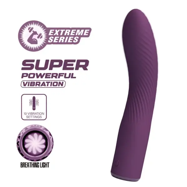 PRETTY LOVE - KISSELL OPLAADBARE VIBRATOR MET 10 FUNCTIES, PAARS